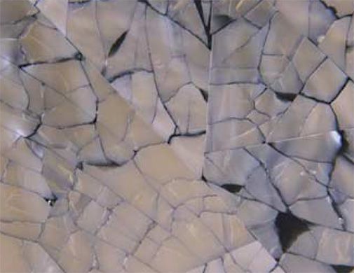 SHELL