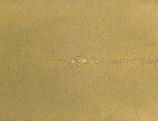 SHAGREEN