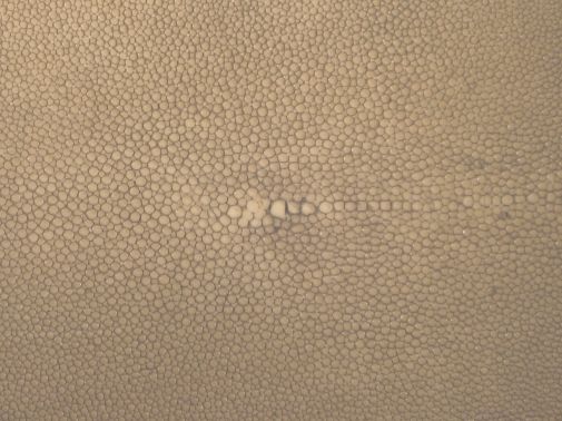 SHAGREEN