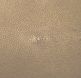 Shagreen