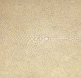 Shagreen
