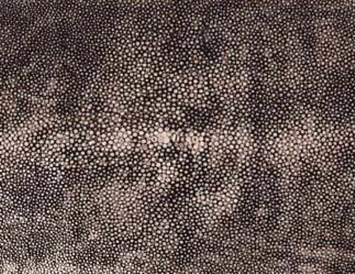 SHAGREEN
