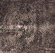 Shagreen